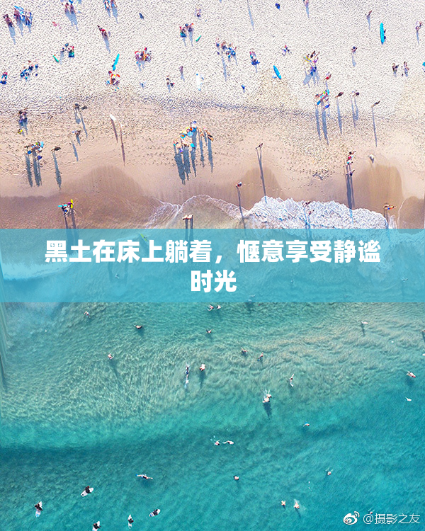 黑土在床上躺着，惬意享受静谧时光