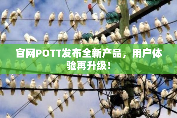 官网POTT发布全新产品，用户体验再升级！