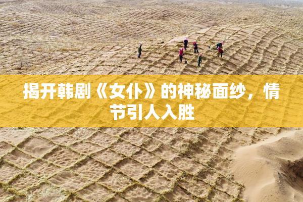 揭开韩剧《女仆》的神秘面纱，情节引人入胜