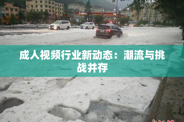 成人视频行业新动态：潮流与挑战并存