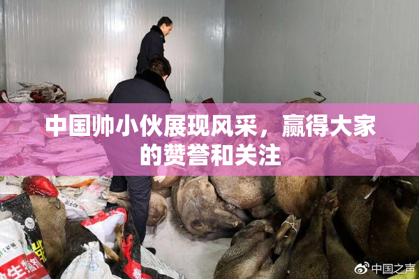中国帅小伙展现风采，赢得大家的赞誉和关注