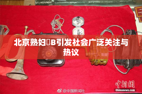 北京熟妇槡B引发社会广泛关注与热议