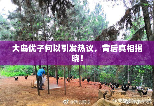 大岛优子何以引发热议，背后真相揭晓！