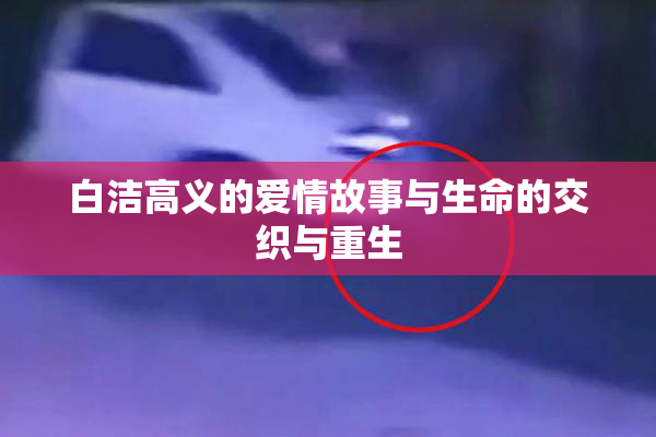 白洁高义的爱情故事与生命的交织与重生