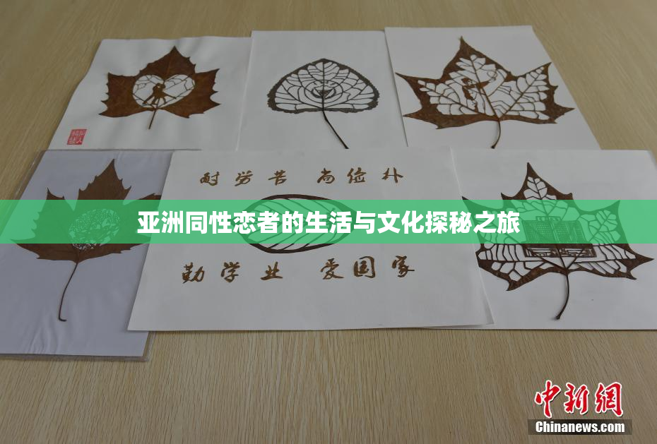 亚洲同性恋者的生活与文化探秘之旅