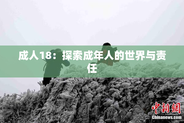 成人18：探索成年人的世界与责任