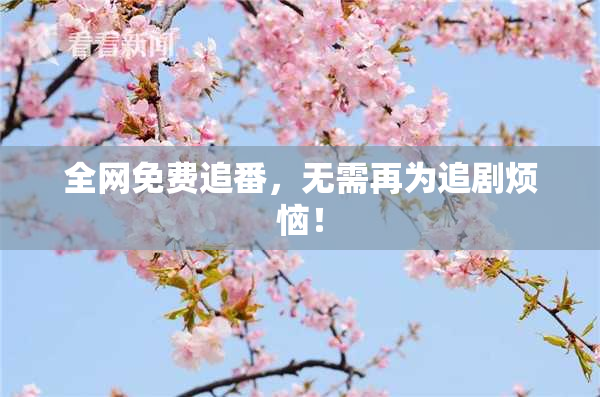 全网免费追番，无需再为追剧烦恼！