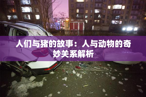 人们与猪的故事：人与动物的奇妙关系解析