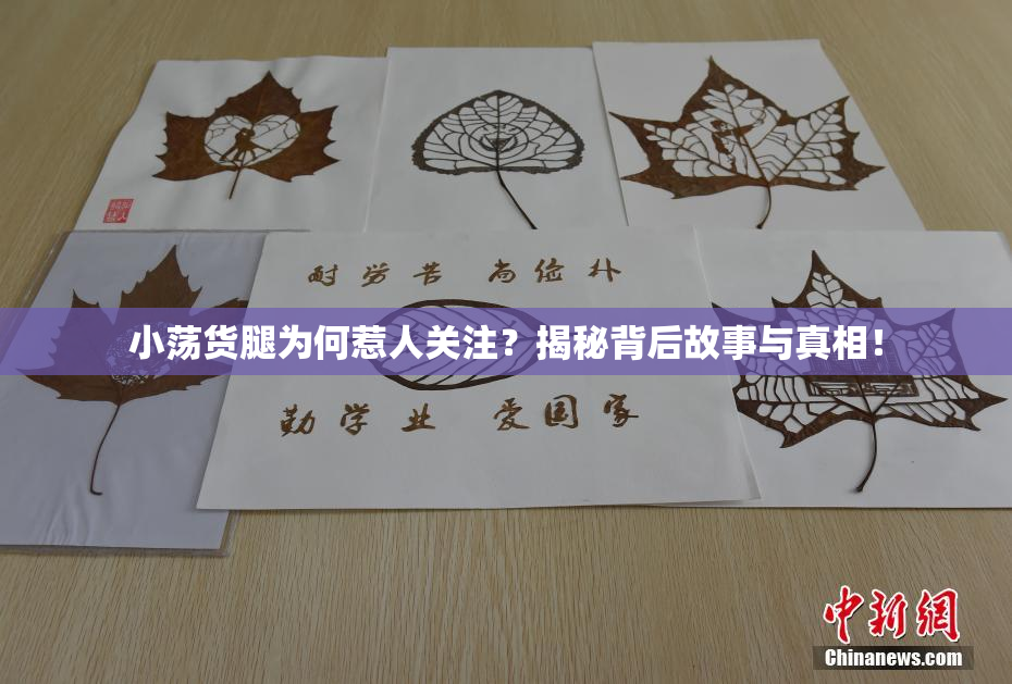 小荡货腿为何惹人关注？揭秘背后故事与真相！