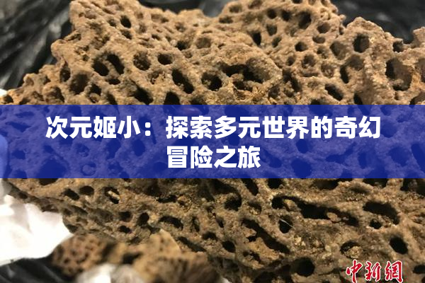 次元姬小：探索多元世界的奇幻冒险之旅
