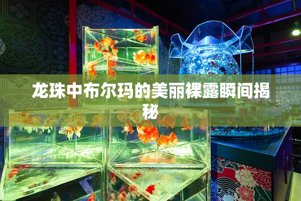 龙珠中布尔玛的美丽裸露瞬间揭秘