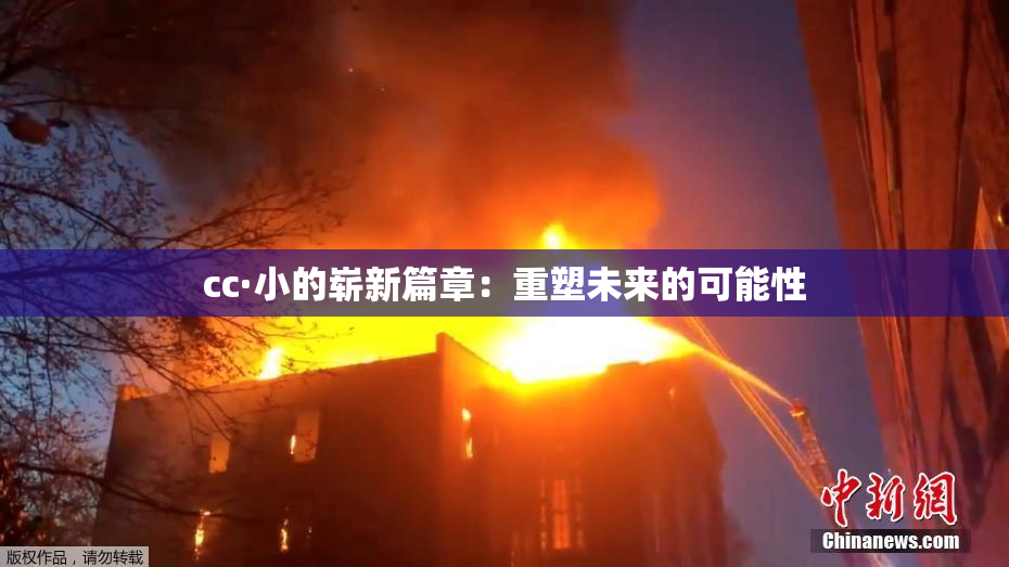 cc·小的崭新篇章：重塑未来的可能性