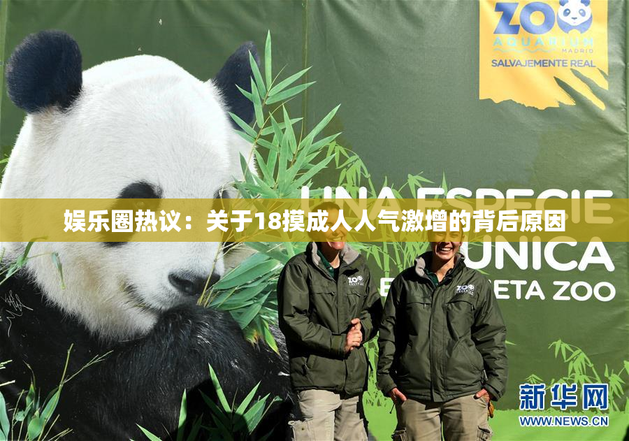 娱乐圈热议：关于18摸成人人气激增的背后原因