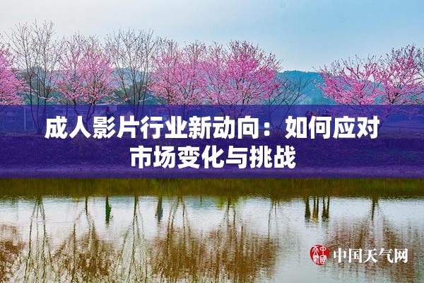 成人影片行业新动向：如何应对市场变化与挑战
