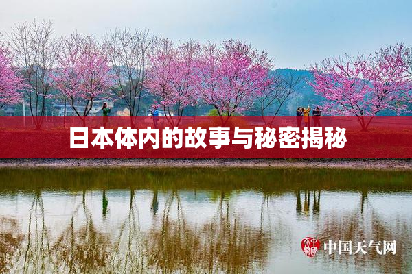 日本体内的故事与秘密揭秘