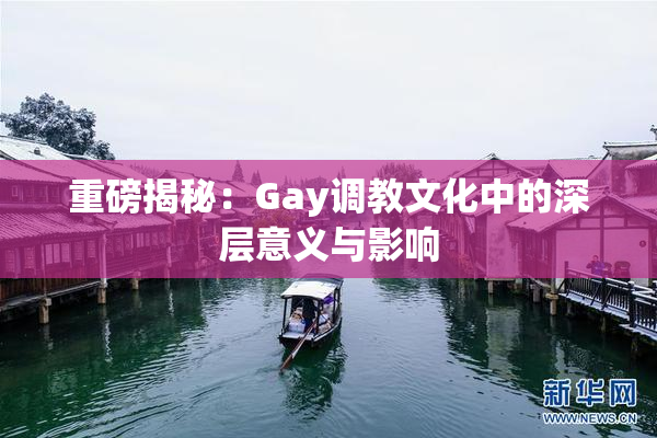 重磅揭秘：Gay调教文化中的深层意义与影响