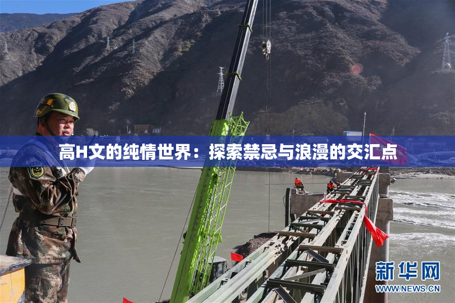 高H文的纯情世界：探索禁忌与浪漫的交汇点
