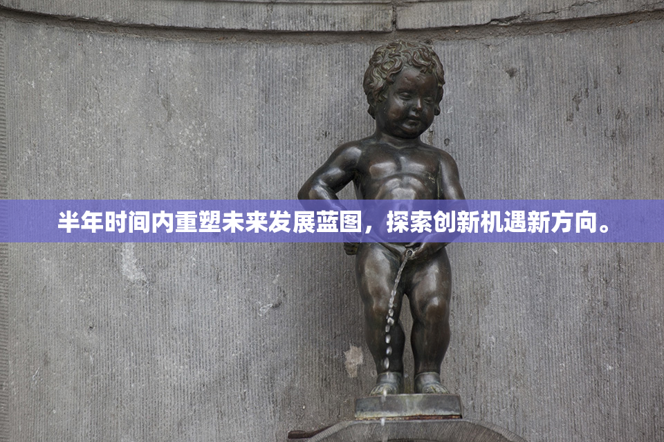 半年时间内重塑未来发展蓝图，探索创新机遇新方向。