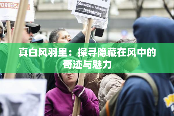 真白风羽里：探寻隐藏在风中的奇迹与魅力