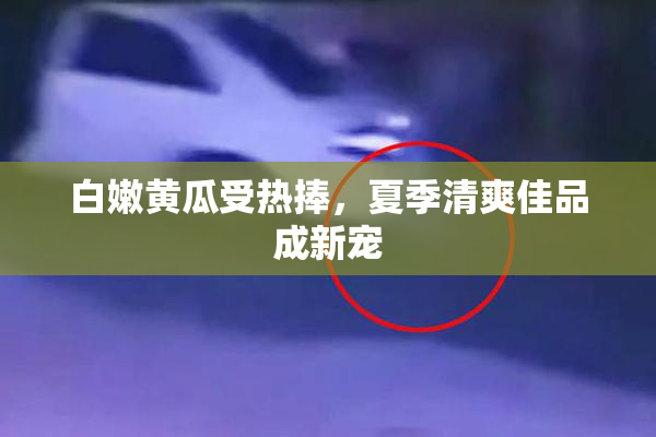白嫩黄瓜受热捧，夏季清爽佳品成新宠