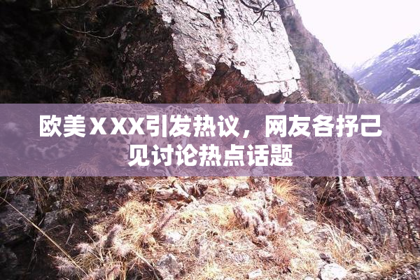 欧美ⅩXX引发热议，网友各抒己见讨论热点话题