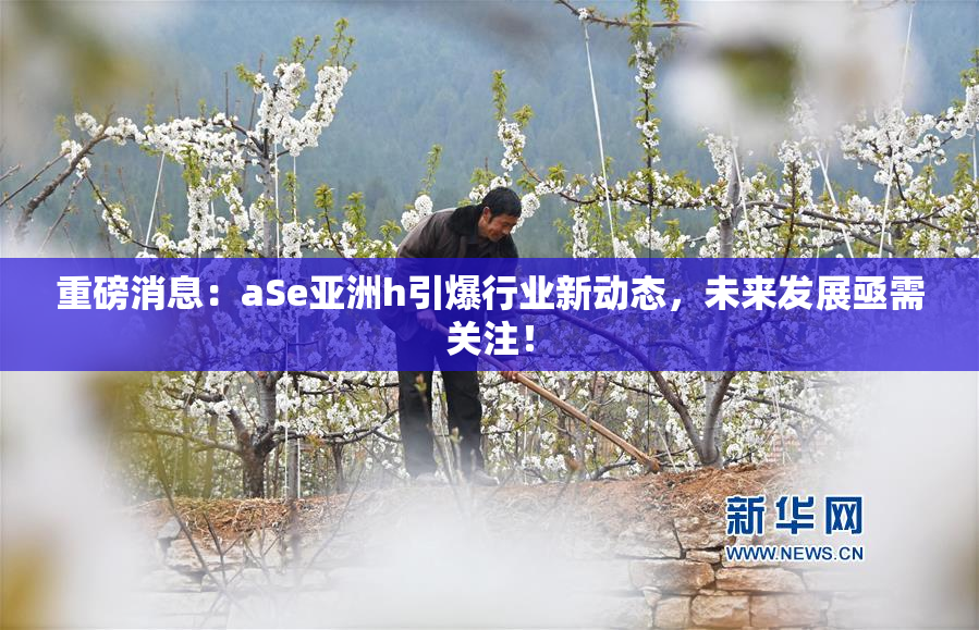 重磅消息：aSe亚洲h引爆行业新动态，未来发展亟需关注！