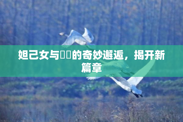 妲己女与❌‌的奇妙邂逅，揭开新篇章