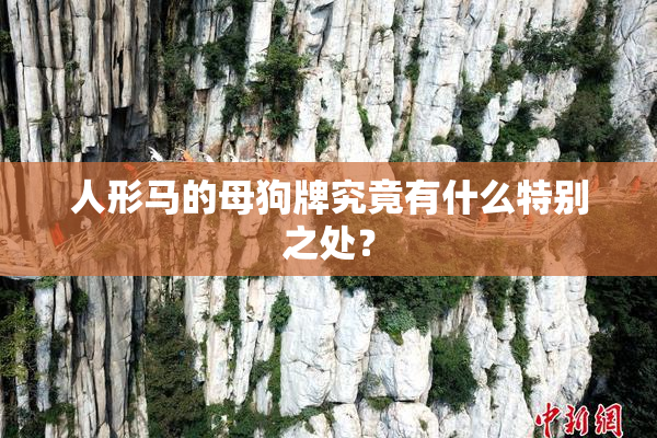 人形马的母狗牌究竟有什么特别之处？