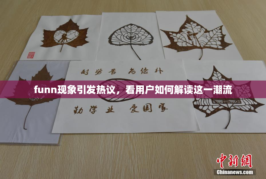 funn现象引发热议，看用户如何解读这一潮流