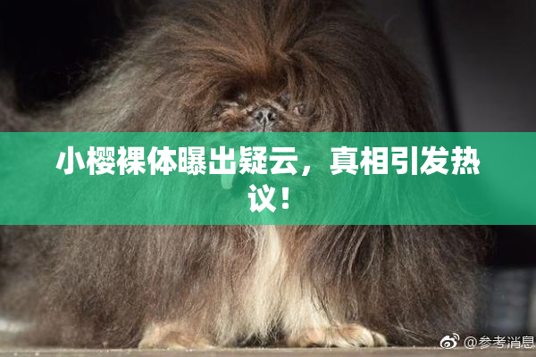小樱裸体曝出疑云，真相引发热议！