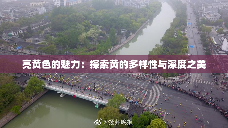 亮黄色的魅力：探索黄的多样性与深度之美