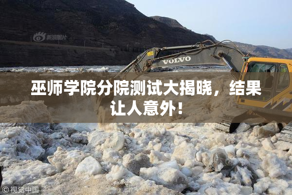 巫师学院分院测试大揭晓，结果让人意外！