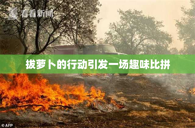 拔萝卜的行动引发一场趣味比拼