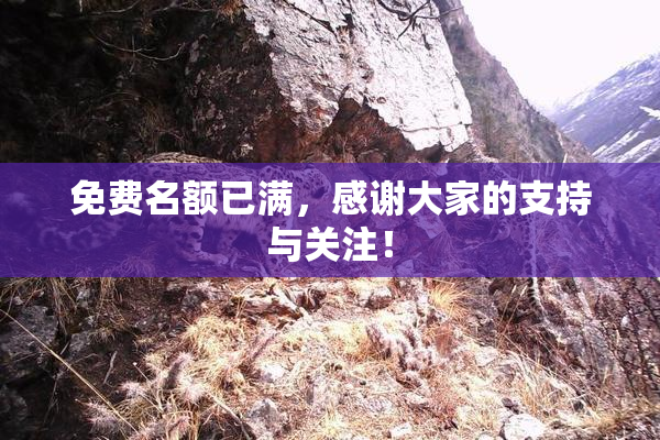 免费名额已满，感谢大家的支持与关注！