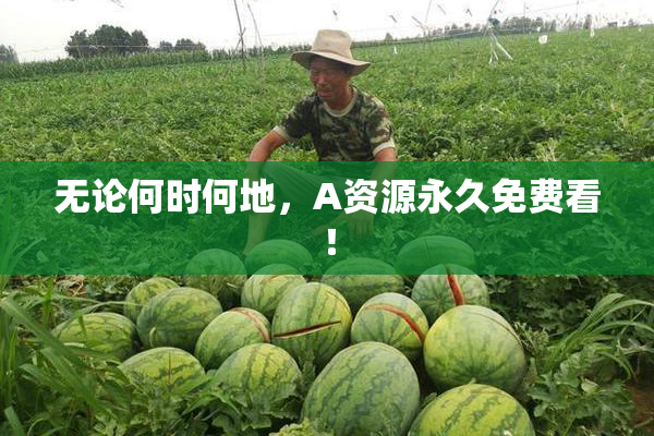 无论何时何地，A资源永久免费看！