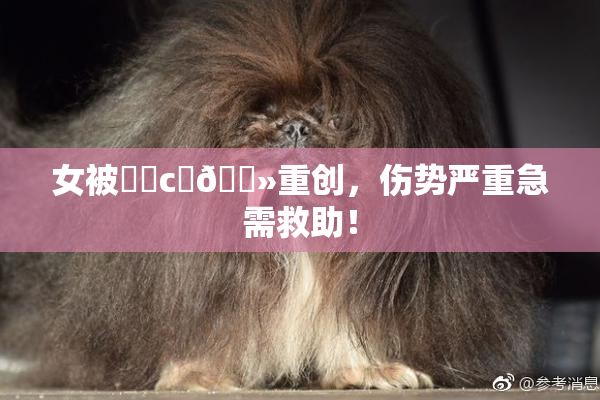 女被❌‌c‌🐻重创，伤势严重急需救助！