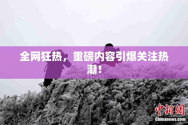 全网狂热，重磅内容引爆关注热潮！
