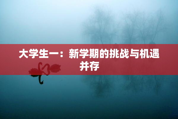 大学生一：新学期的挑战与机遇并存