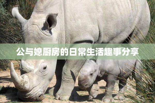 公与媳厨房的日常生活趣事分享