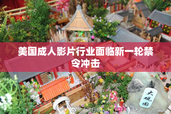 美国成人影片行业面临新一轮禁令冲击