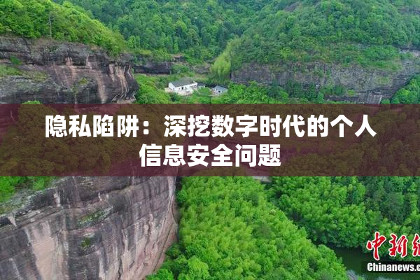 隐私陷阱：深挖数字时代的个人信息安全问题
