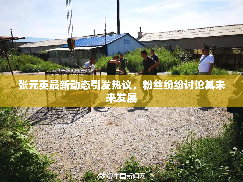 张元英最新动态引发热议，粉丝纷纷讨论其未来发展