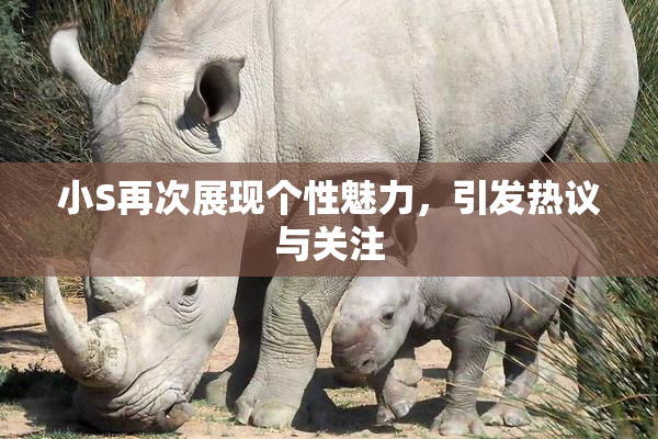 小S再次展现个性魅力，引发热议与关注