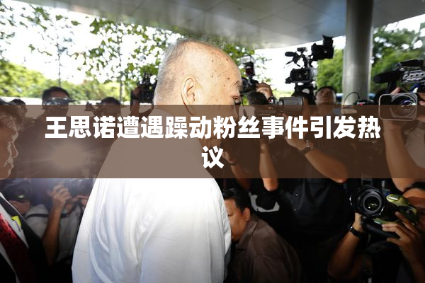 王思诺遭遇躁动粉丝事件引发热议