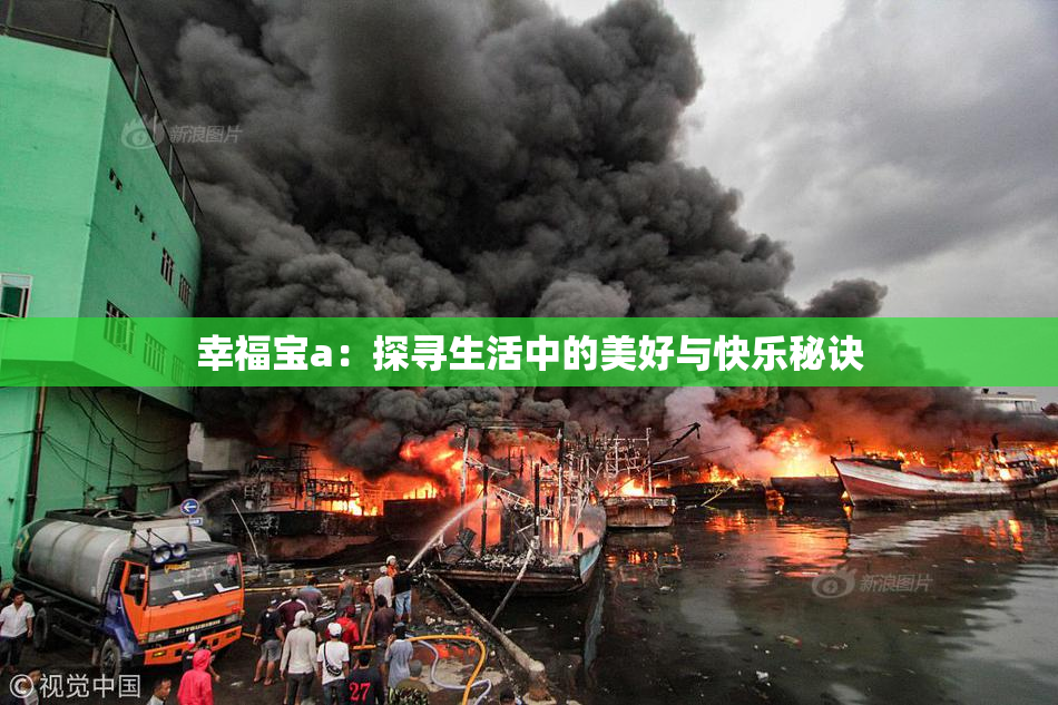 幸福宝a：探寻生活中的美好与快乐秘诀