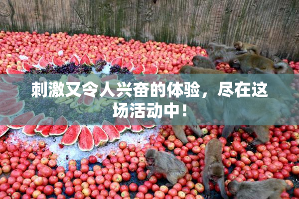 刺激又令人兴奋的体验，尽在这场活动中！