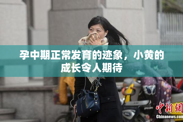 孕中期正常发育的迹象，小黄的成长令人期待
