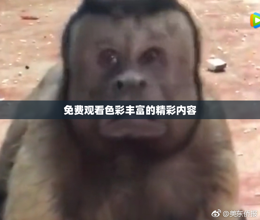 免费观看色彩丰富的精彩内容
