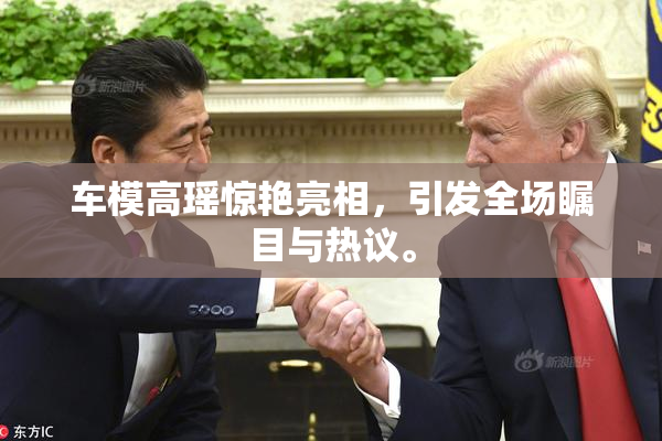 车模高瑶惊艳亮相，引发全场瞩目与热议。