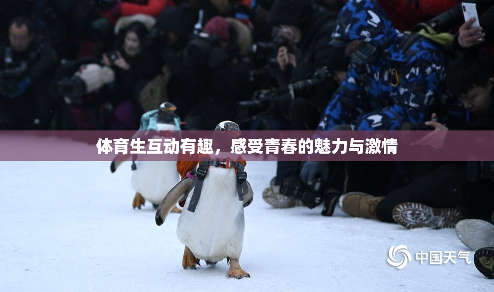 体育生互动有趣，感受青春的魅力与激情